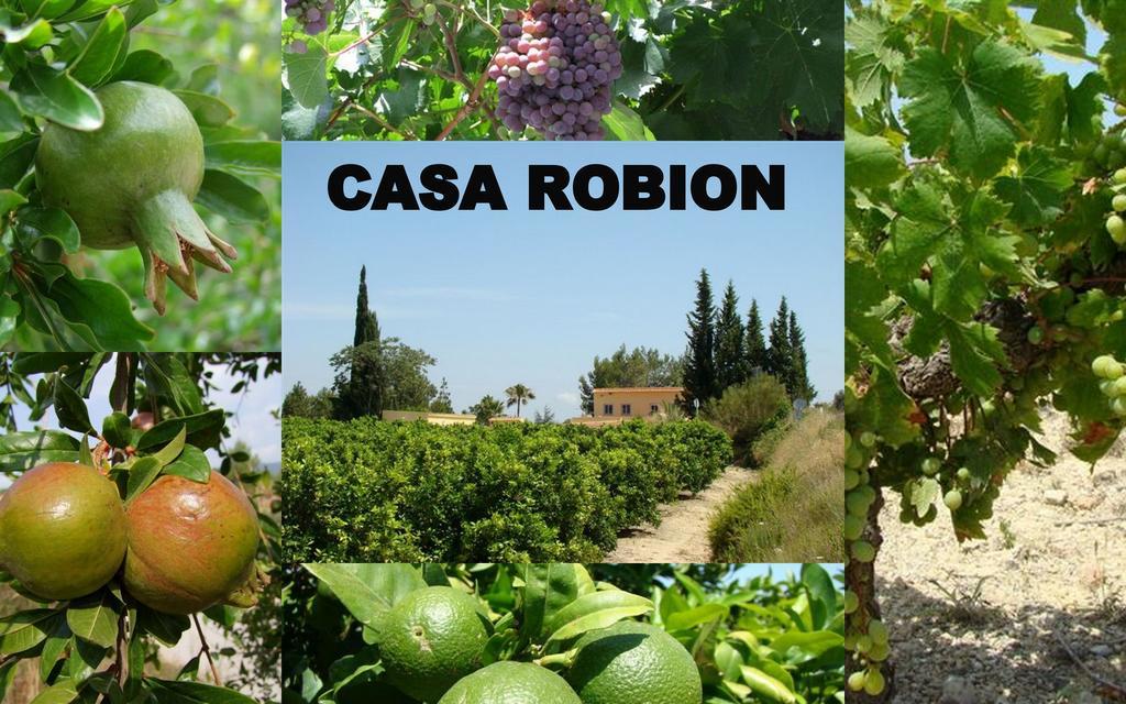 Casa Robion *